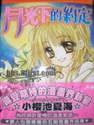 月光下的约定