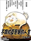 不同于草包猫的人生