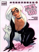 神奇蜘蛛侠-黑猫