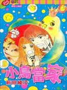 小鸟当家
