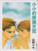 小小的玻璃天空