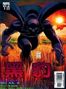 黑豹V4