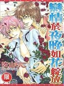 恋情于夜晚如花绽放