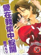 爱在我怀中绽开