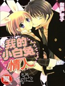 我的小白兔情人