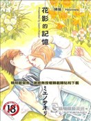 花影的记忆