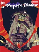 蝙蝠侠：暗影侠