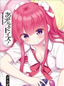 大人的玩具
