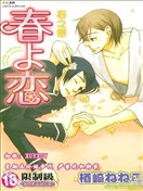 春之恋