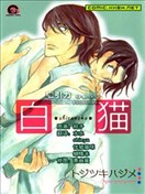 白猫