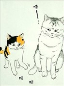 我曾经巨讨厌猫来的
