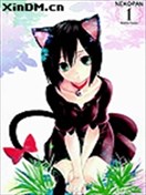 小猫煎饼