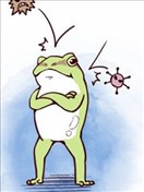 野生動物竟在我身邊