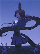 化作星辰的馬娘