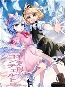 不定形的协奏曲