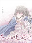 致彼時繁花