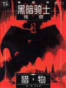 蝙蝠俠：黑暗騎士傳奇