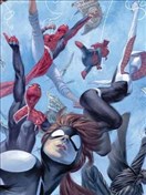 蜘蛛宇宙：蛛网勇士