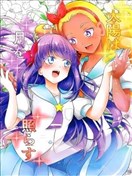 太阳照耀着月亮