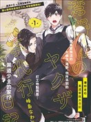 湾野君的黑道家政夫日记