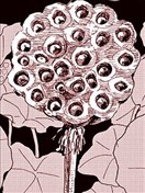 坑洼凹凸集合体