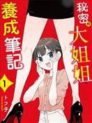 秘密的大姐姐養成筆記