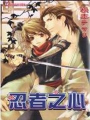 忍者之心