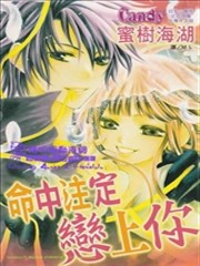 命中註定戀上你