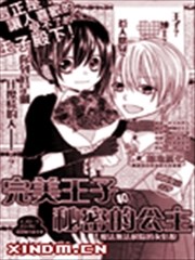 完美王子和秘密的公主