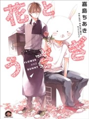 花與兔