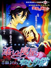 陪睡屋的入梦之猫