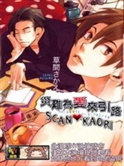 灾难为爱来引路