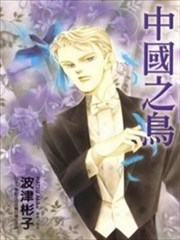 中国之鸟