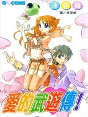 爱的武游传
