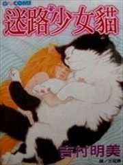 迷路少女猫