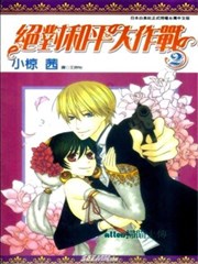 绝对和平大作战