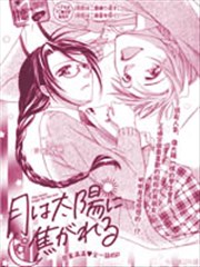 恋慕太阳的月亮