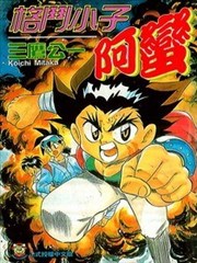 格斗小子阿蛮