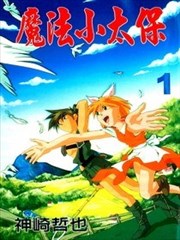 魔法小太保