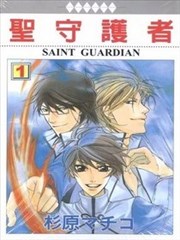 圣守护者
