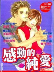 感动的纯爱