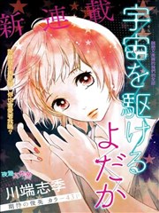 翱翔于天际的夜鹰