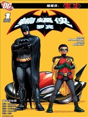 蝙蝠侠与罗宾V1