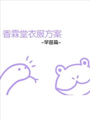 香霖堂衣服方案（早苗篇）