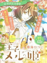 斯凯王城的王子姬