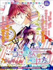 兔子先生的调教方法