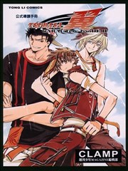 TSUBASA翼公式导读手册