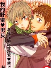 我的野蛮男友