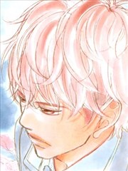 对迟钝的我们来说春天来了吗