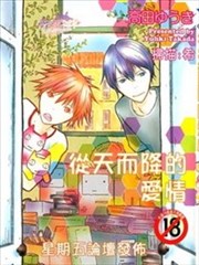 从天而降的爱情